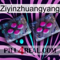Ziyinzhuangyang 01